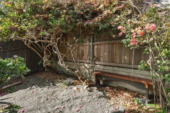 At the top of the backyard is an adorable bench