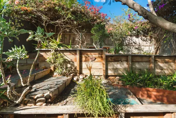 The backyard with beautiful plants