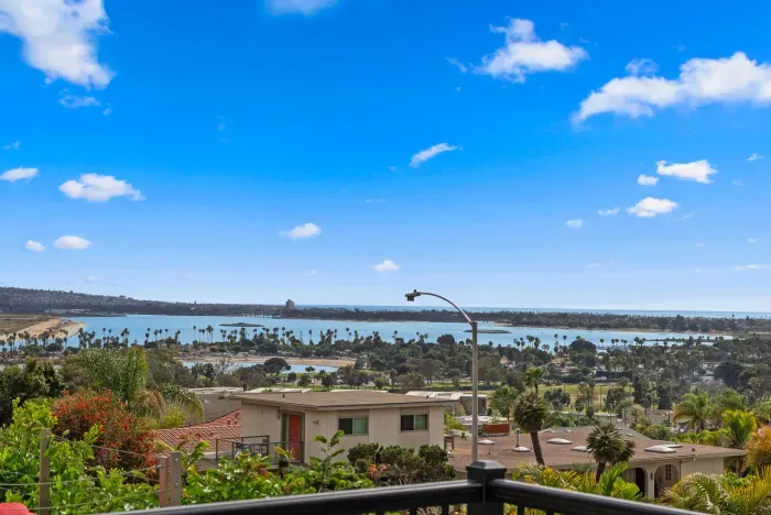 Panoramic bay and palm-lined skyline views from hillside deck