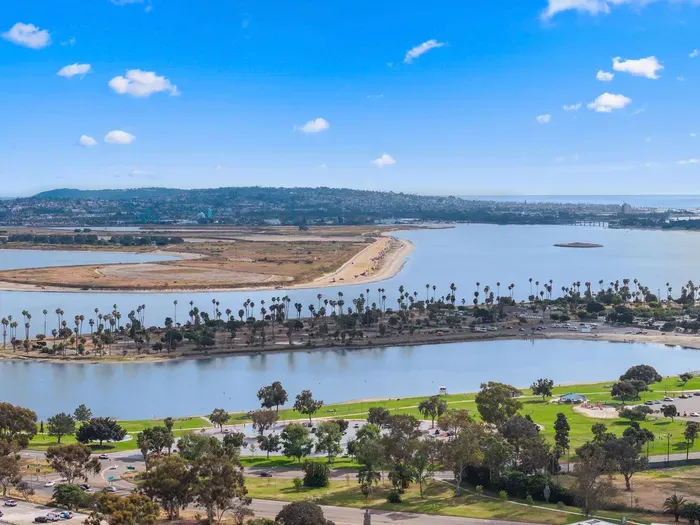 Sweeping bay panorama with palm-lined parks, trails, and calm waters