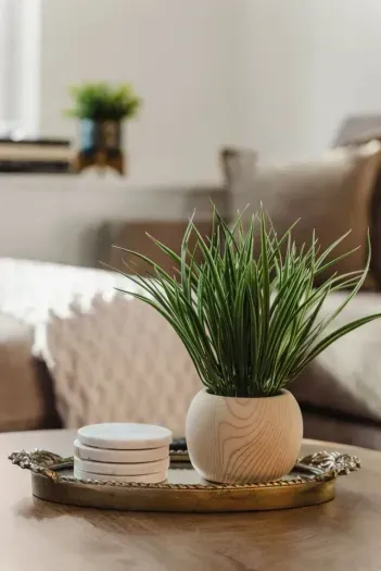 Elegant coffee table decor