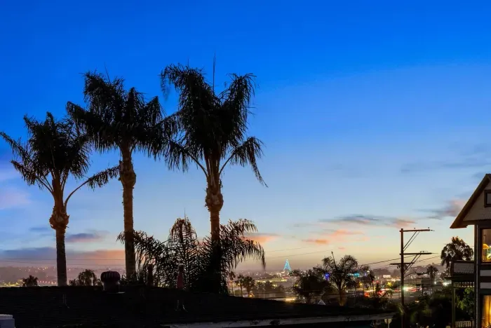 Sunset palms and coastal skies for a true SoCal moment