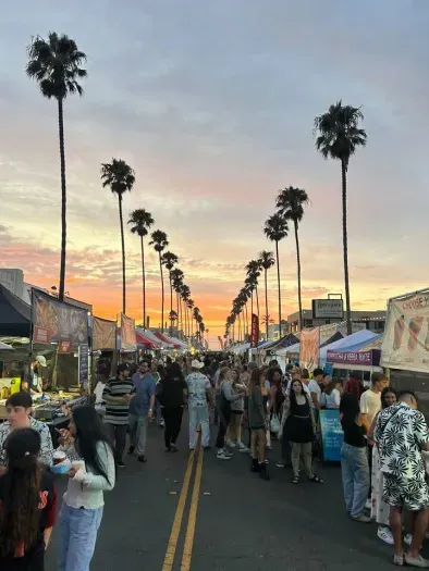 Check out the OB street fair, every Wednesday on Newport Ave, only 3 blocks from the house!