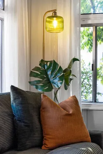 Cozy reading nook accented with soft throw pillows and a leafy plant near a bright window.