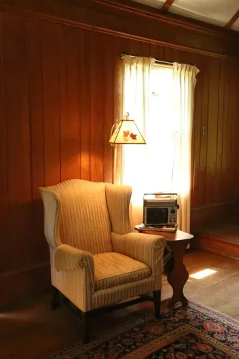 Living Room Arm Chair