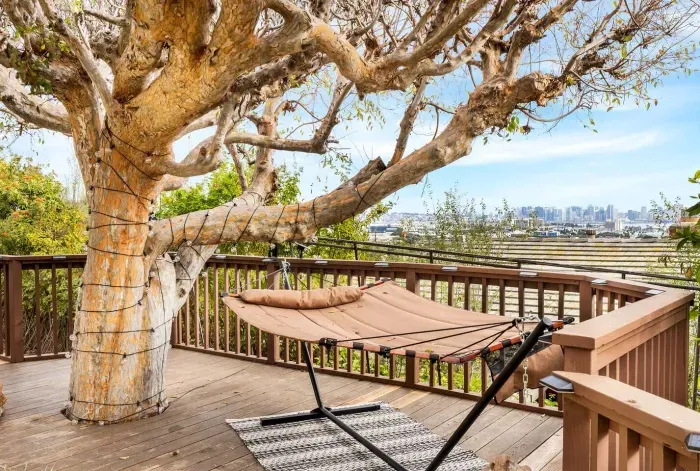 Rest beneath this tree’s canopy, where breeze and shade embrace you.