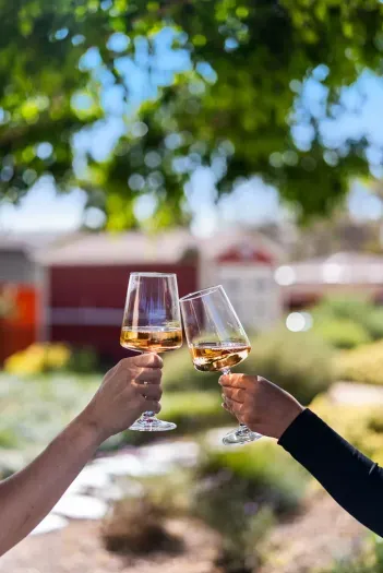 Sip rosé in a lush, sun-dappled garden—your private retreat.