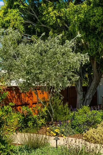 Lush private garden with mature trees, flowers, and a sunny walking path